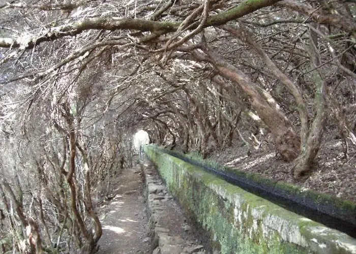 Casa Mao-cheia Arco da Calheta (Madeira)