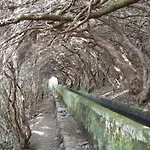 Casa Mao-cheia Arco da Calheta (Madeira)