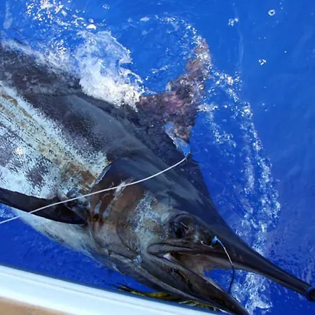 Casa Mao-cheia Апартаменты *