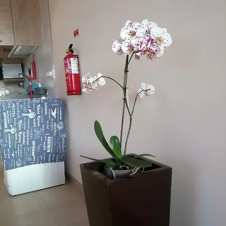Casa Mao-cheia