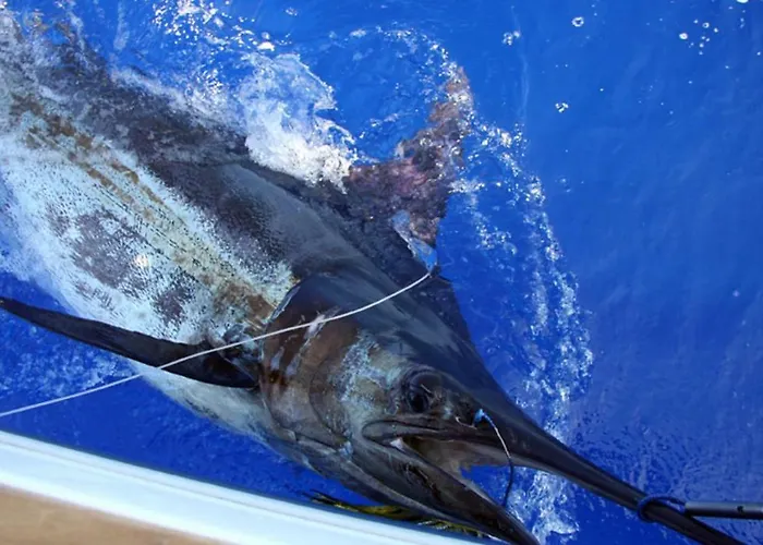 Casa Mao-cheia Apartment *